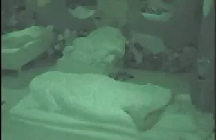 XXX Nero dotato vecchie pelose lesbiche di scheggiature con una bionda